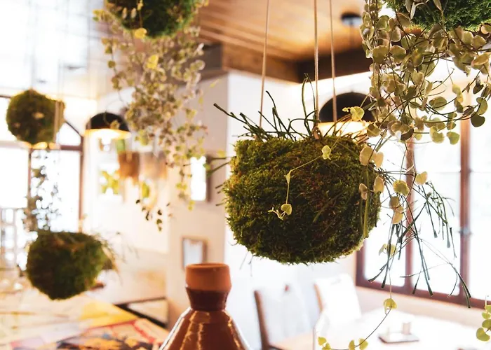 Le Besso - Swiss Romantic 2* Zinal